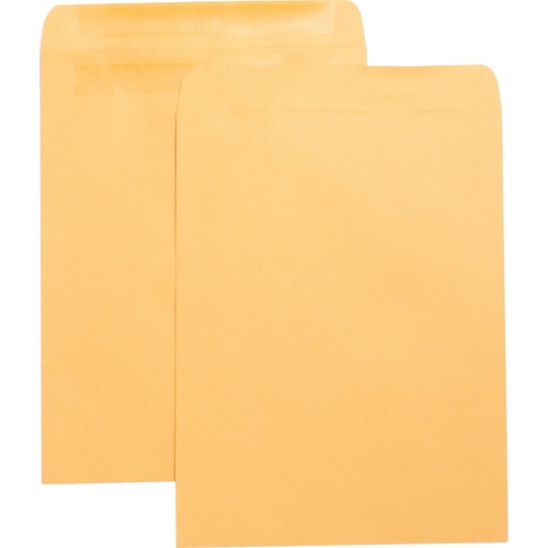 Press/Seal Catalog Envelopes,Plain,10"x13",100/BX,Kraft