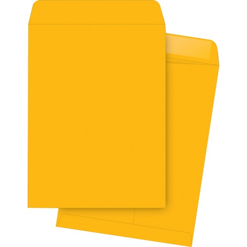 Catalog Envelopes, Plain, 11-1/2"x14-1/2", 250/BX, Kraft