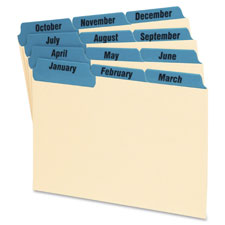 Index Card Guides,Laminated,Monthly,3"x5",1/3 Cut,12/ST,Blue