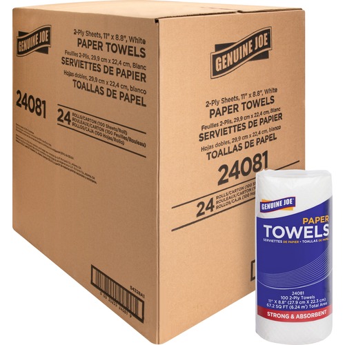 Paper Towels Roll, 2-Ply, 100 Sheets/Roll,11"x9", 24RL/CT,WE