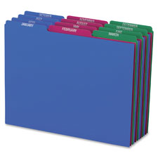 File Guide,1/3 Cut Top Tab,Monthly,LTR,Poly,25/ST,AST