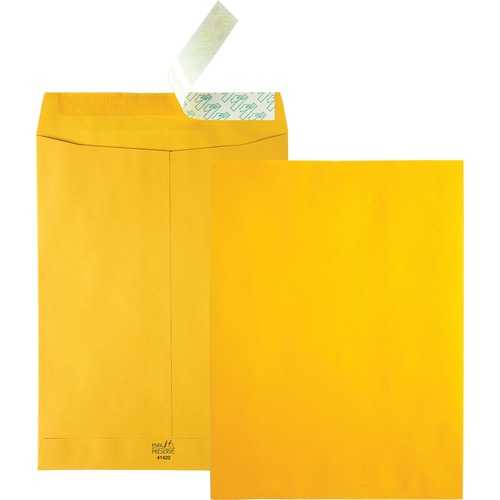 Redi Strip Catalog Envelopes, High Bulk, 9"x12", 250/CT, KFT