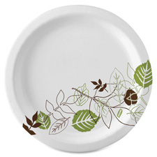 Plates, Extra Heavy Weight, 10", 500/CT, Pathways/White