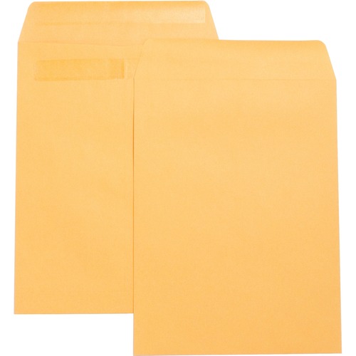 Press/Seal Catalog Envelopes,Plain,9"x12",100/BX,Kraft