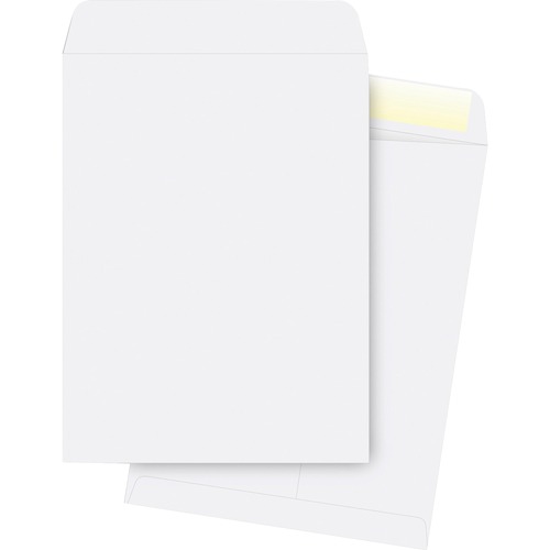 Catalog Envelopes, Plain, 28Lb., 10"x13", 250/PK, WE