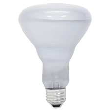 Reveal Floodlight Bulb, 65W, White